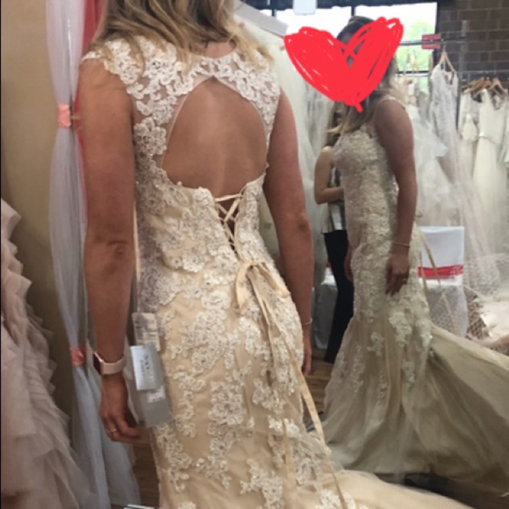 Lace Wedding Dress (Champagne)